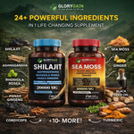 GloryGain®️ All-In-One Vitality Bundle Offer