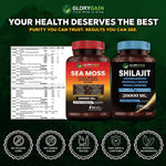 GloryGain®️ All-In-One Vitality Bundle Offer