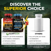 GloryGain®️ All-In-One Vitality Bundle