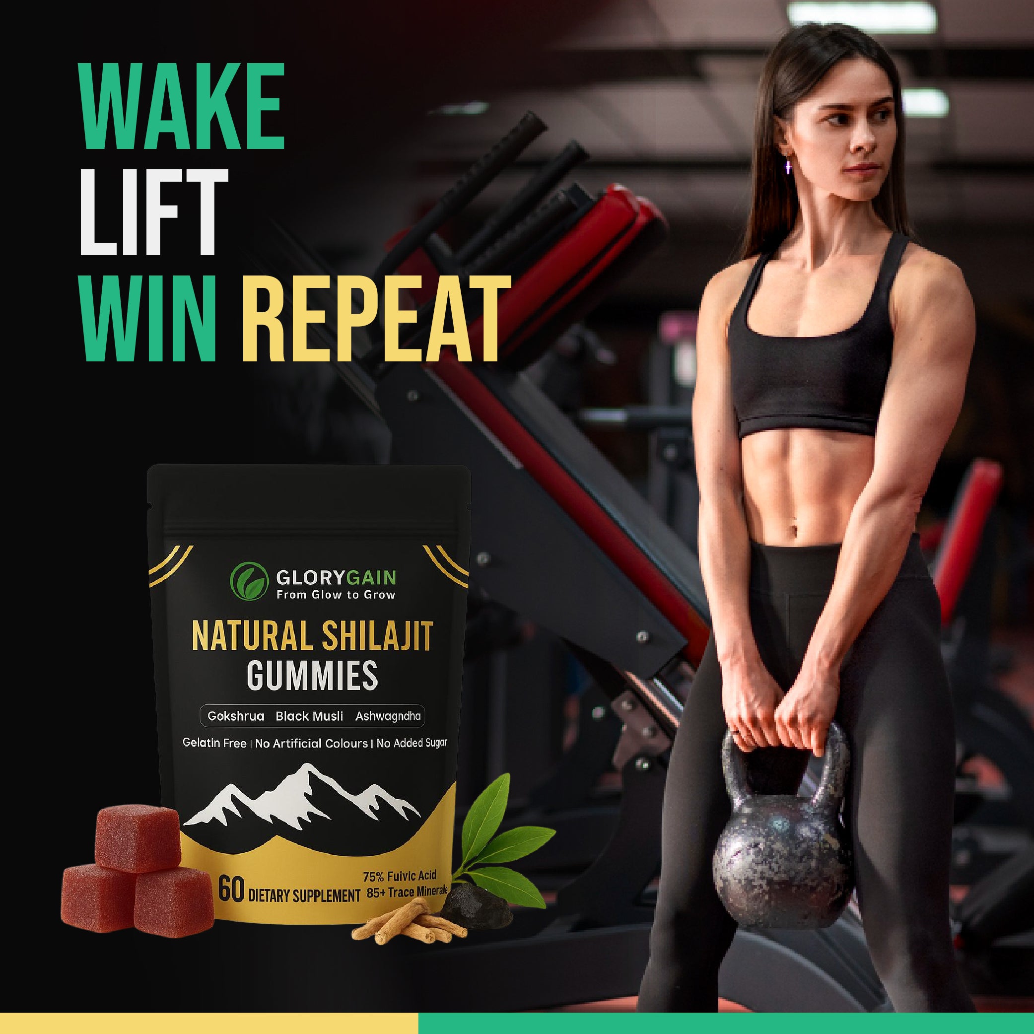 Natural SHILAJIT Gummies - 60 Gummies