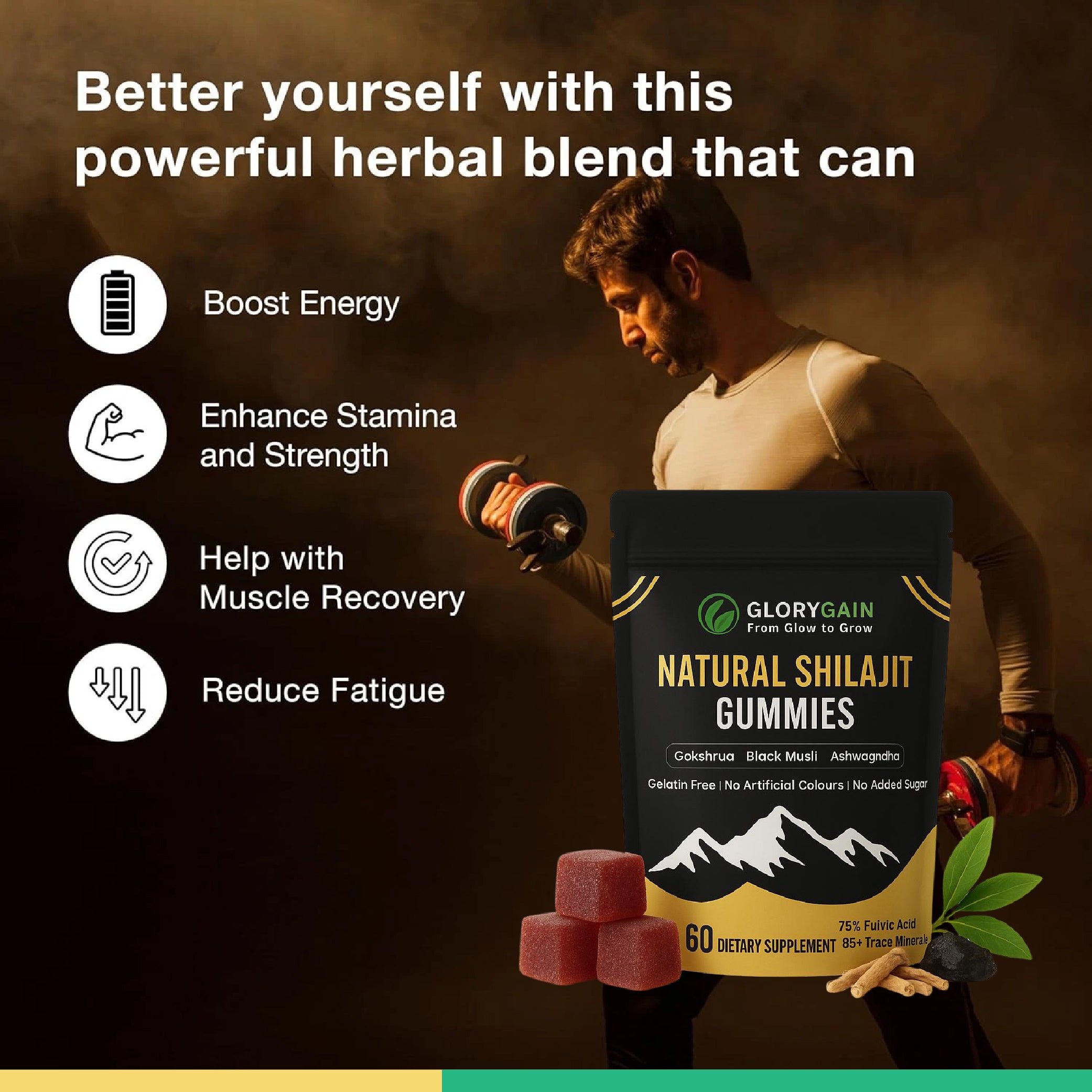 Natural SHILAJIT Gummies - 60 Gummies
