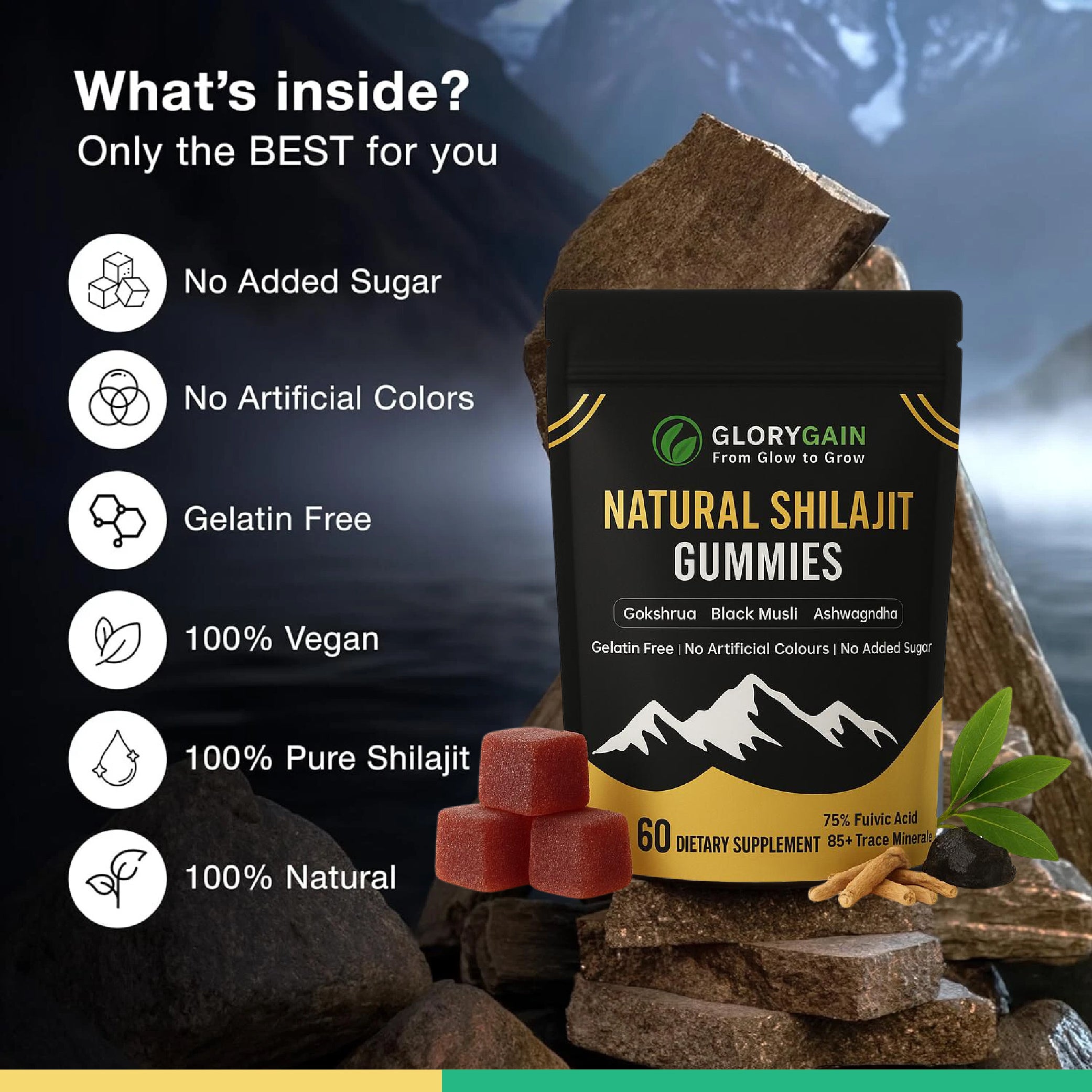 Natural SHILAJIT Gummies - 60 Gummies