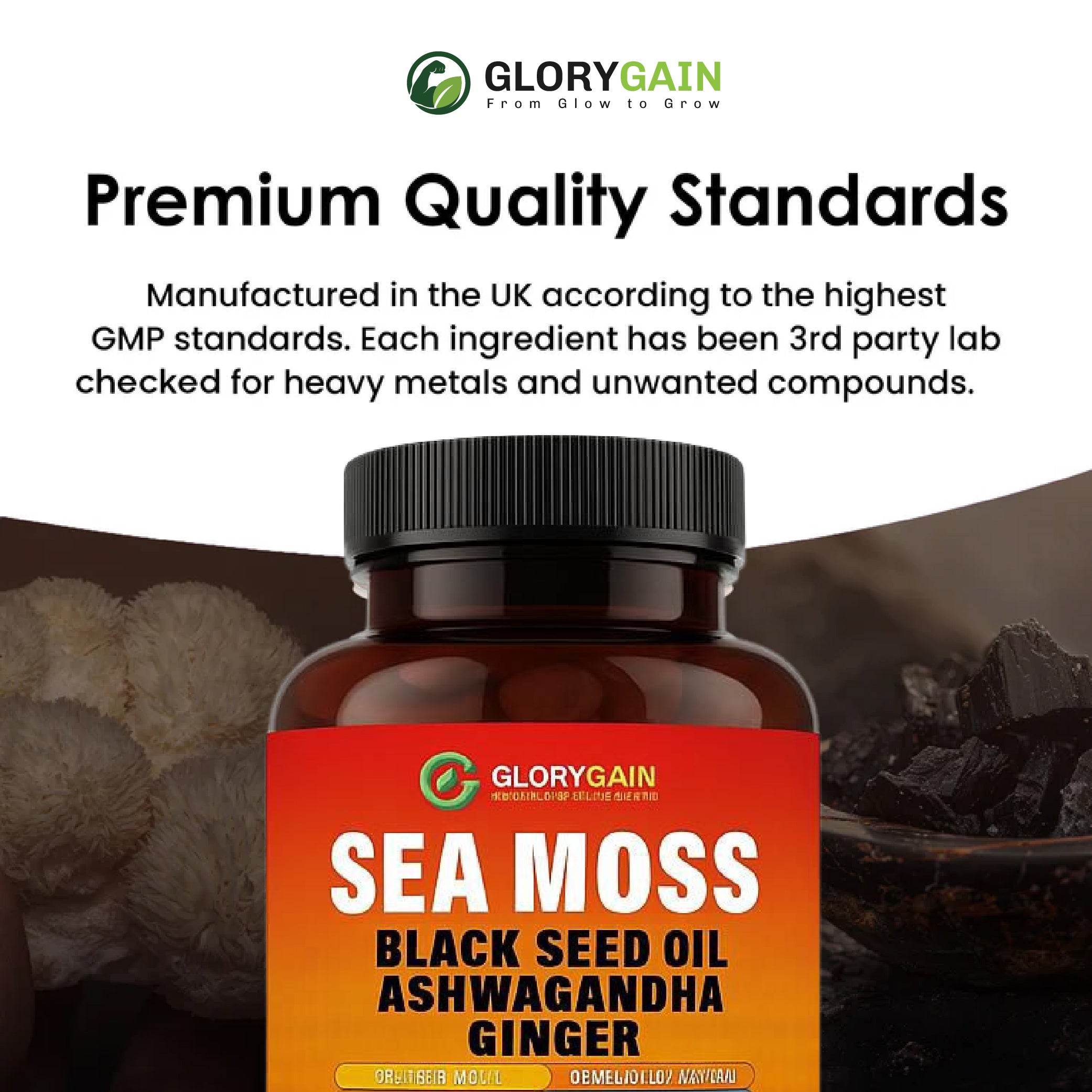 SEA MOSS Capsules – Natural Nootropic for Brain, Focus & Nerve Health